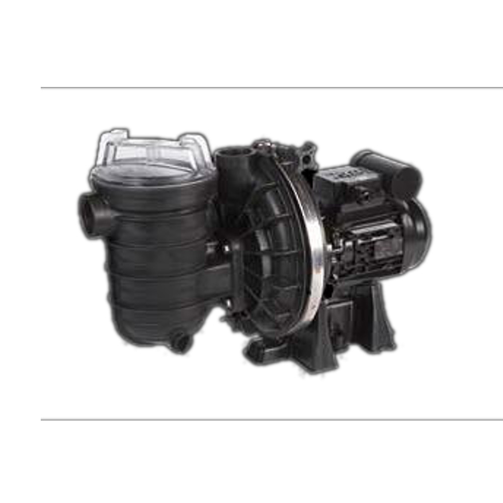 Sta-Rite S5P2RD-1 Zoutwater zwembadpomp
