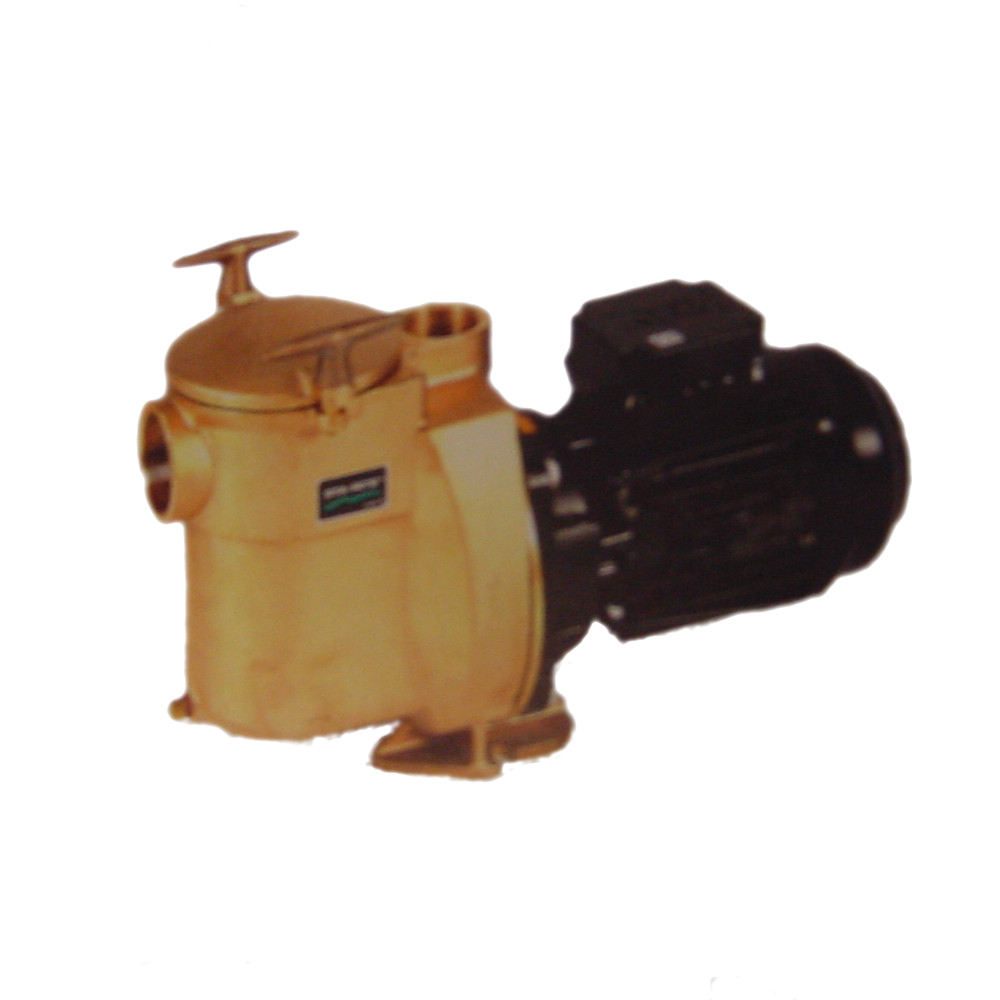 Sta-Rite 5BR-F3E2