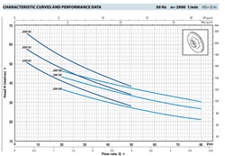 Pedrollo JSWm / 2C (Voorheen de 10M)