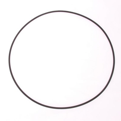 Pedrollo O-ring pomphuis JSW3 serie